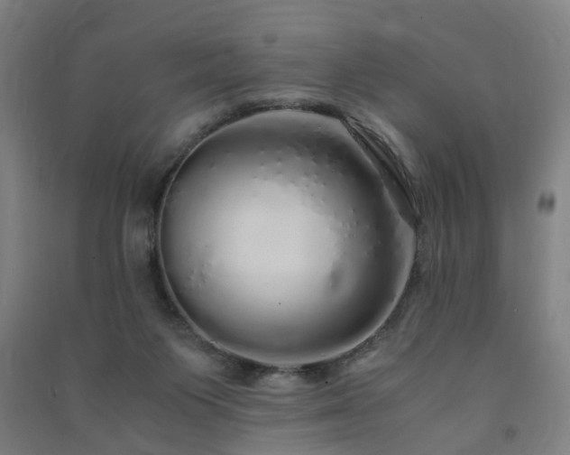 X0000091490119200708161446