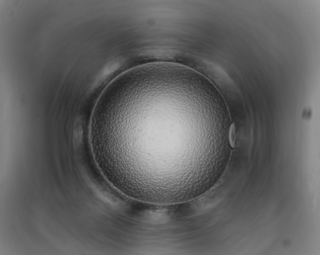 X0000091490120200708161446