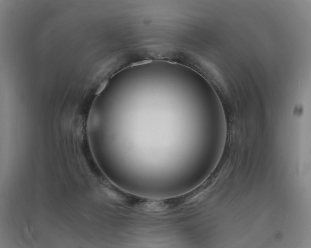 X0000091490121200708161446