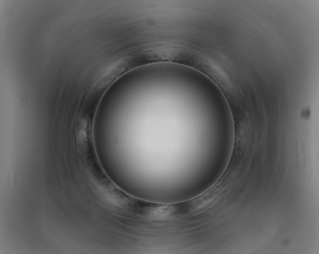 X0000091490122200708161446