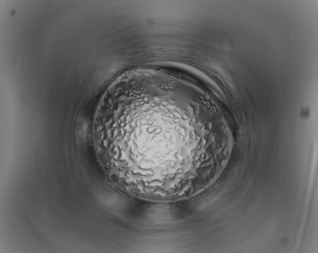 X0000091490123200708161446