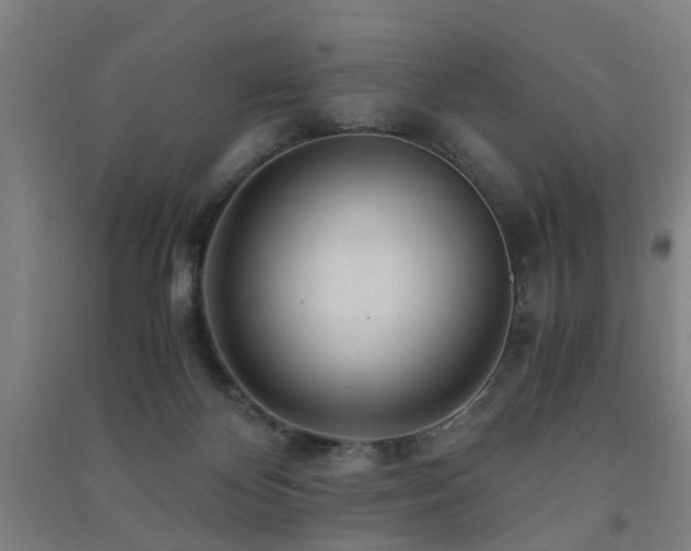 X0000091490124200708161446