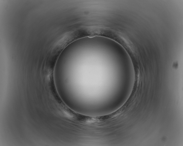 X0000091490125200708161446