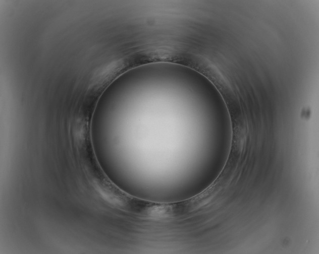 X0000091490126200708161446