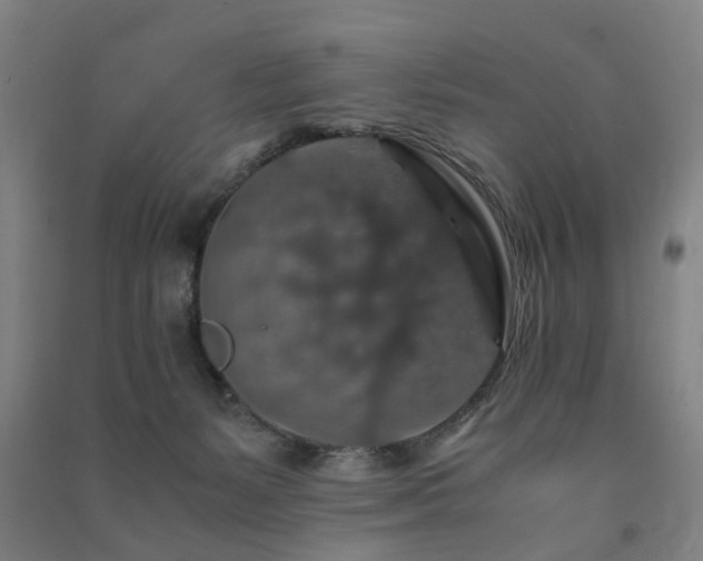 X0000091490127200708161446