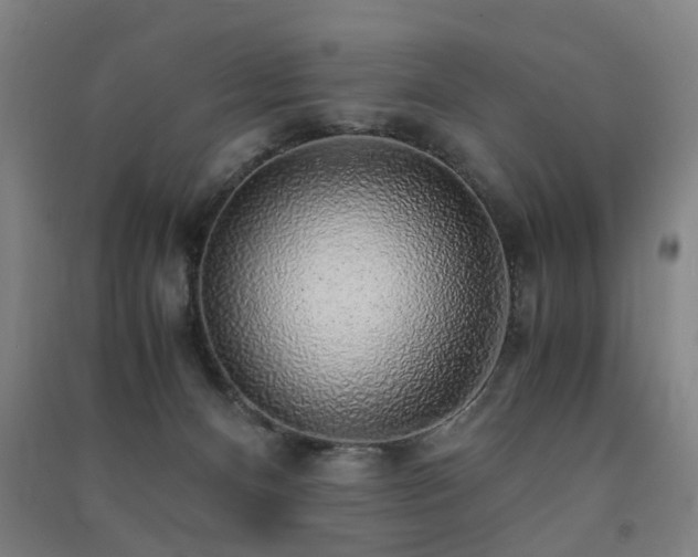 X0000091490128200708161446
