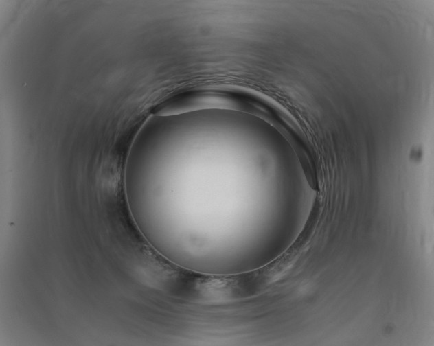 X0000091490129200708161446