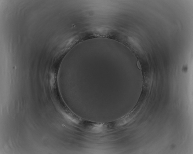 X0000091490130200708161446