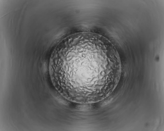 X0000091490131200708161446