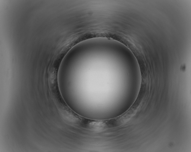 X0000091490133200708161446