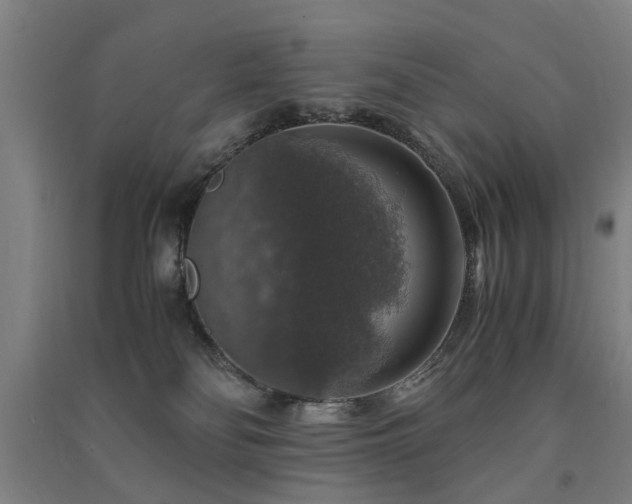 X0000091490134200708161446