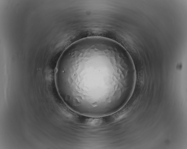 X0000091490135200708161446