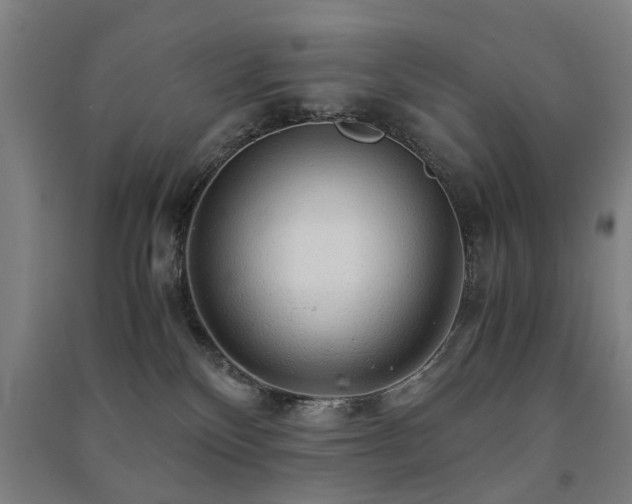 X0000091490136200708161446
