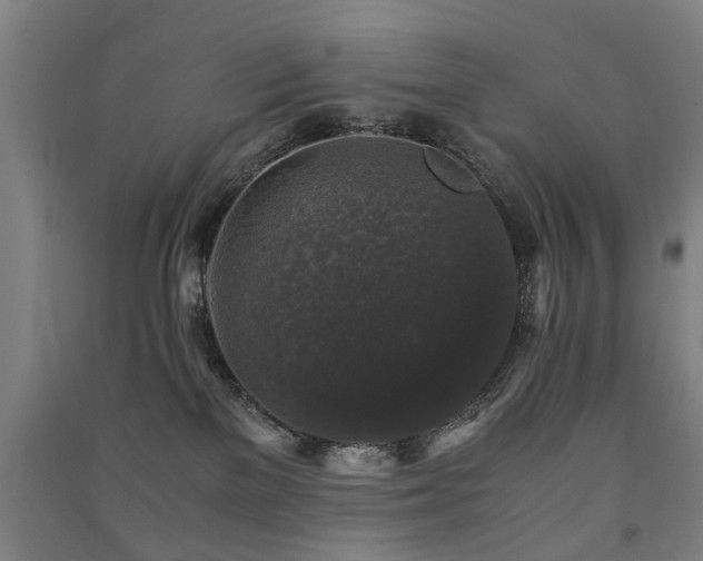 X0000091490137200708161446