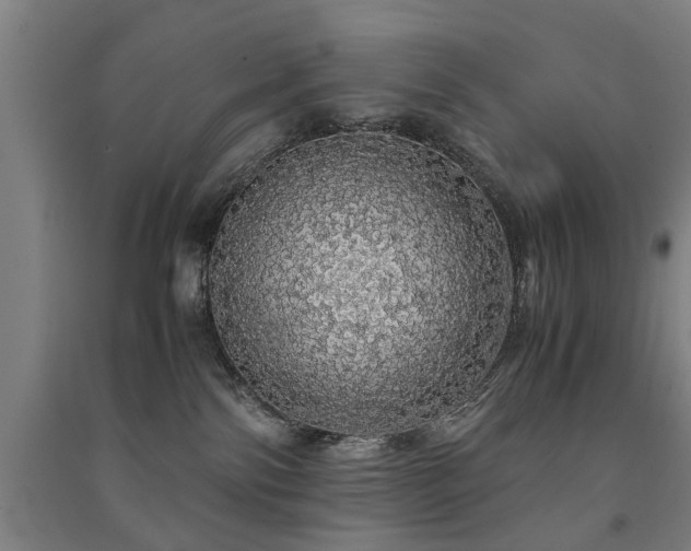 X0000091490138200708161446