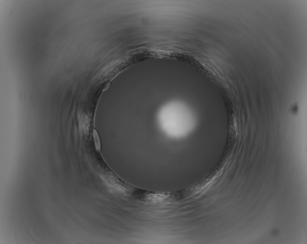 X0000091490139200708161446