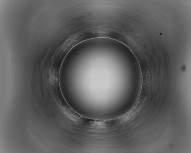X0000091490140200708161446