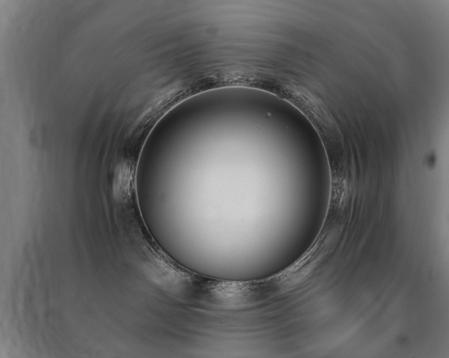 X0000091490142200708161446