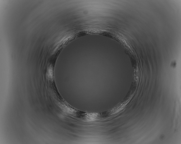 X0000091490143200708161446