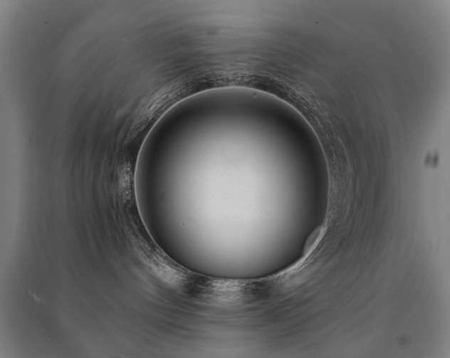 X0000091490144200708161446