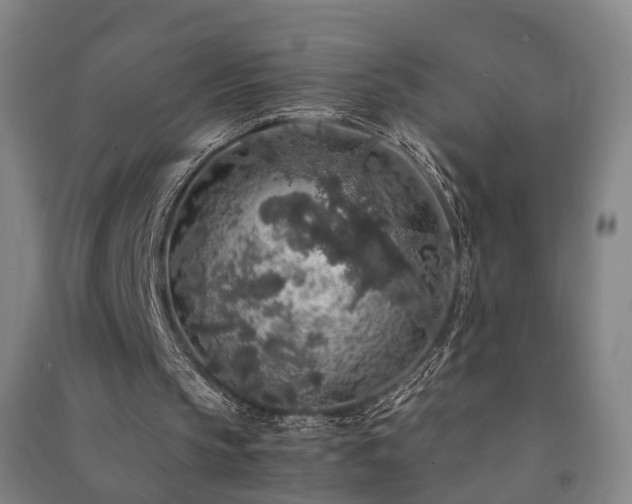 X0000091490145200708161445