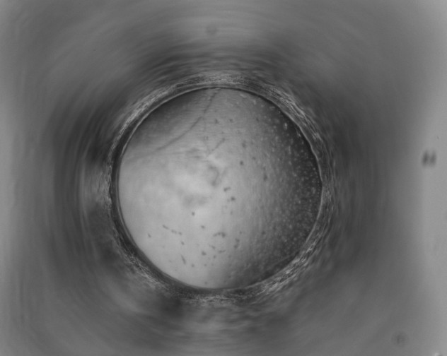 X0000091490146200708161445
