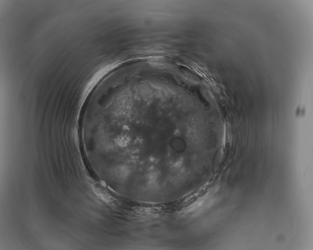 X0000091490147200708161445