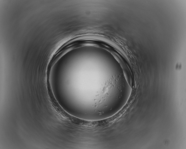 X0000091490148200708161445