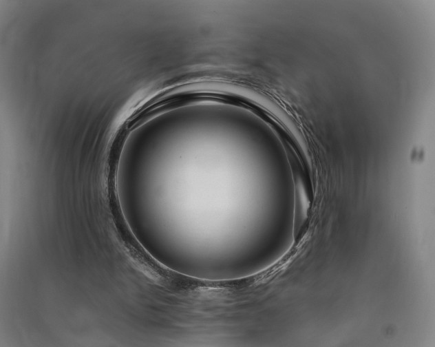 X0000091490150200708161445