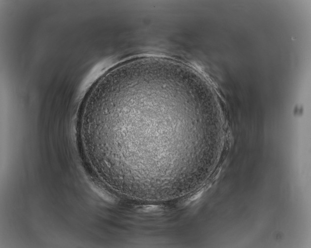 X0000091490151200708161445