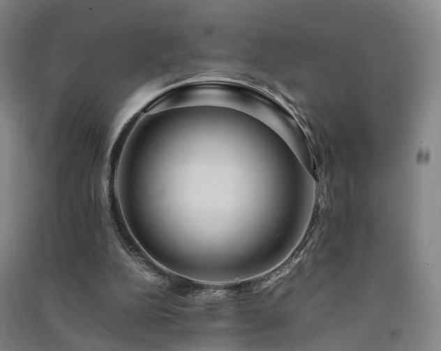 X0000091490152200708161445