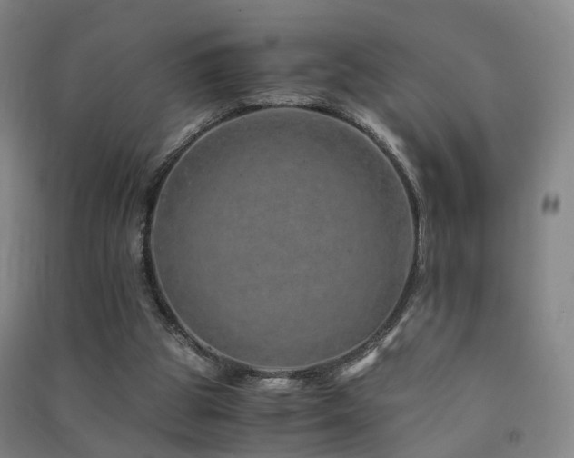 X0000091490153200708161445