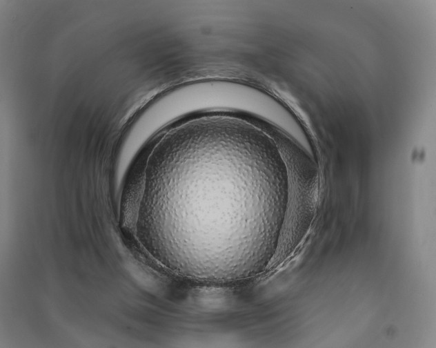 X0000091490154200708161445