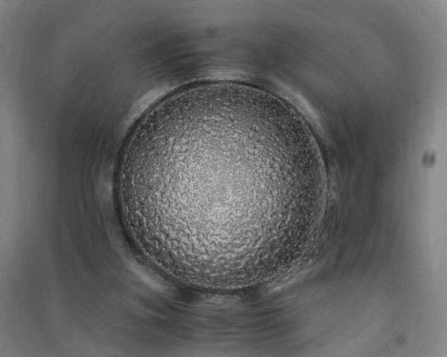 X0000091490155200708161445