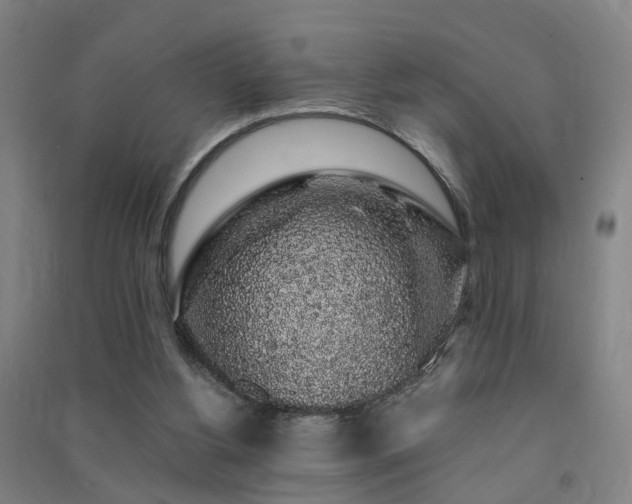 X0000091490156200708161445