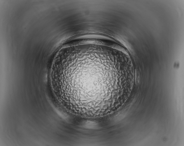 X0000091490157200708161445