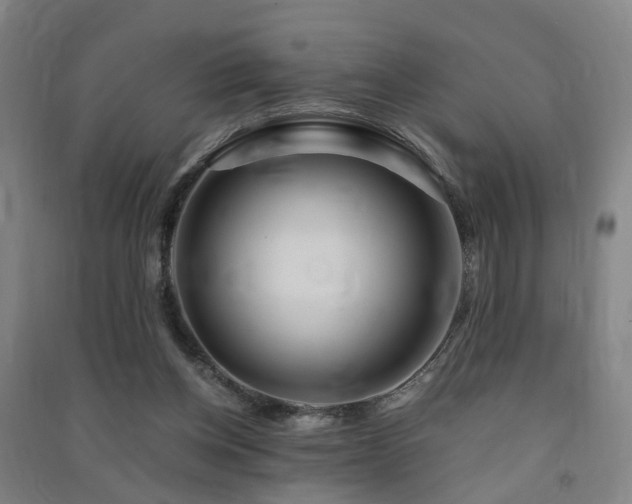 X0000091490158200708161445