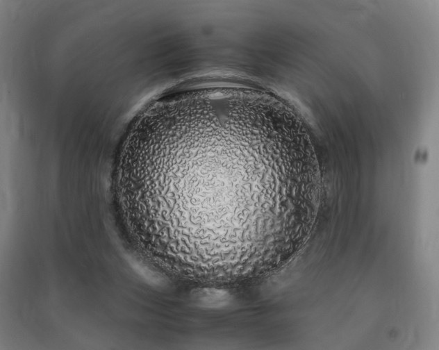 X0000091490159200708161445