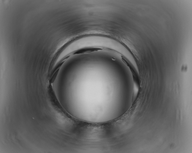 X0000091490160200708161445