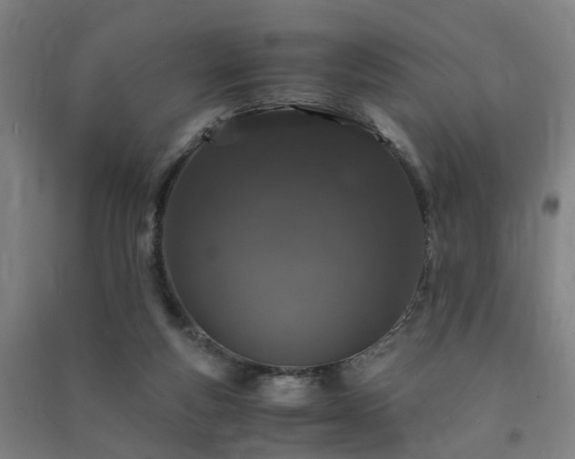 X0000091490163200708161445
