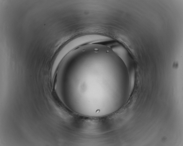 X0000091490164200708161445