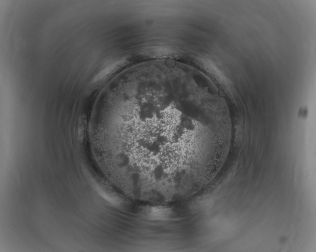 X0000091490165200708161445