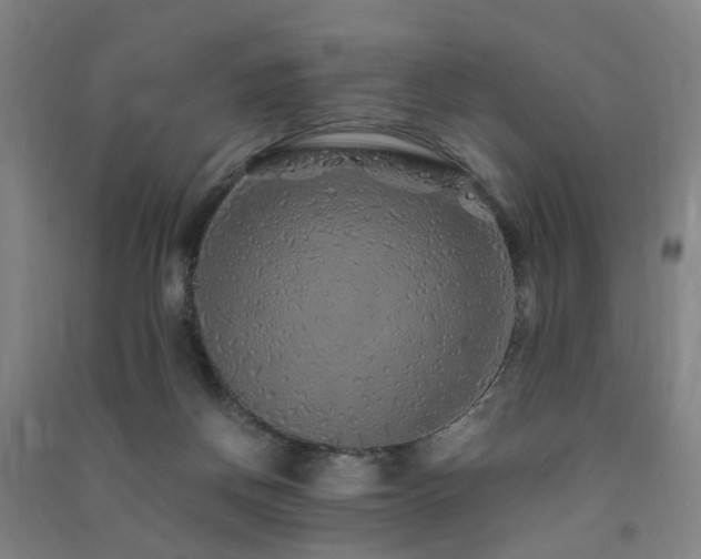 X0000091490166200708161445
