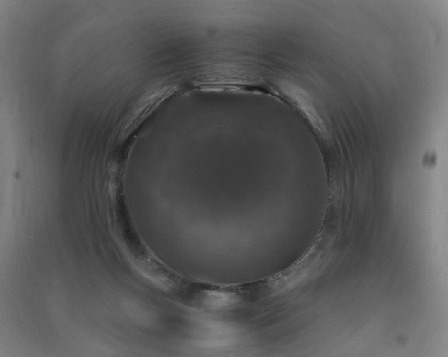 X0000091490167200708161445
