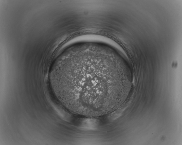 X0000091490168200708161445