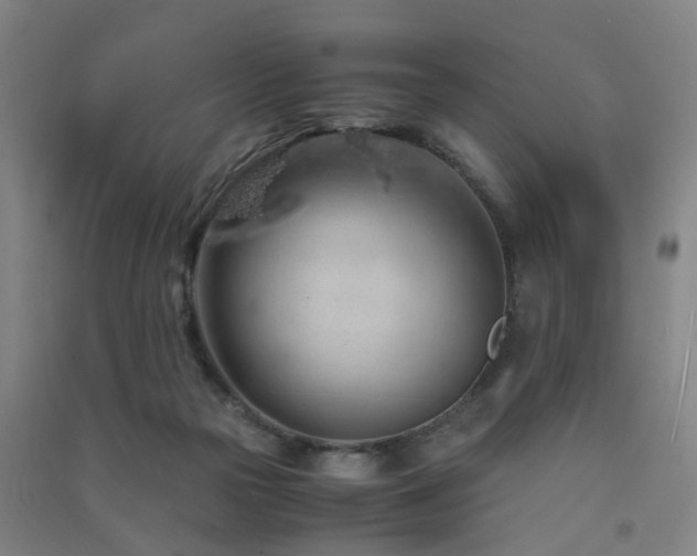 X0000091490169200708161445