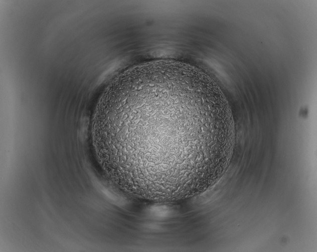 X0000091490171200708161445