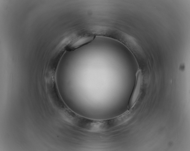 X0000091490172200708161445
