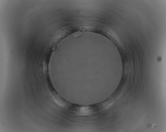 X0000091490173200708161445