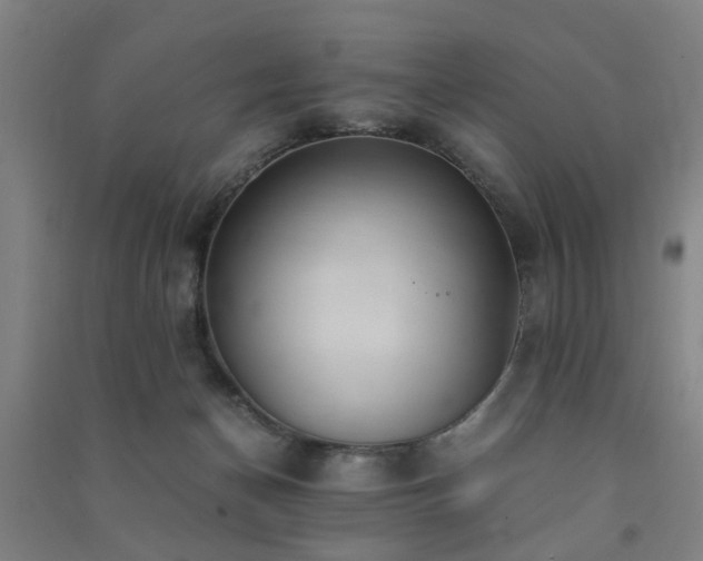 X0000091490174200708161445